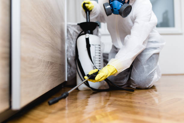 Best Pest Control Near Me  in Binghamton University, NY