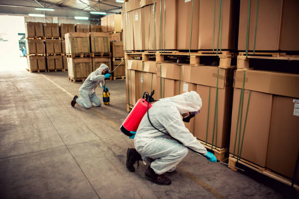 Best Emergency Pest Control  in Binghamton University, NY