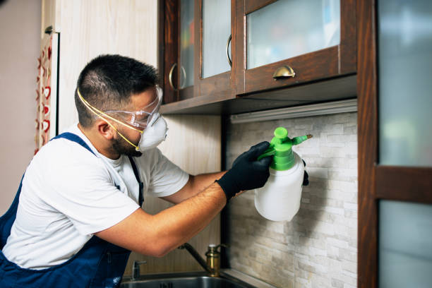 Best Cockroach Control Services  in Binghamton University, NY