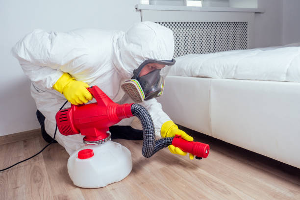 Best Bed Bug Extermination  in Binghamton University, NY