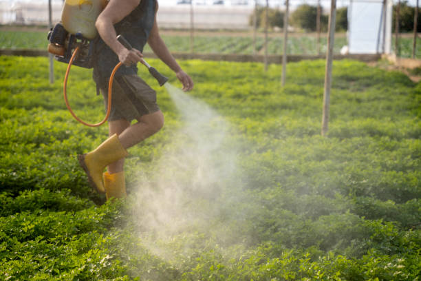 Pest Prevention Services in Binghamton University, NY