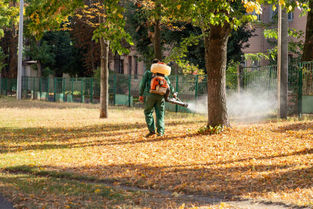 Best Flea Control Services  in Binghamton University, NY