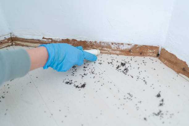 Best Best Pest Control Companies  in Binghamton University, NY